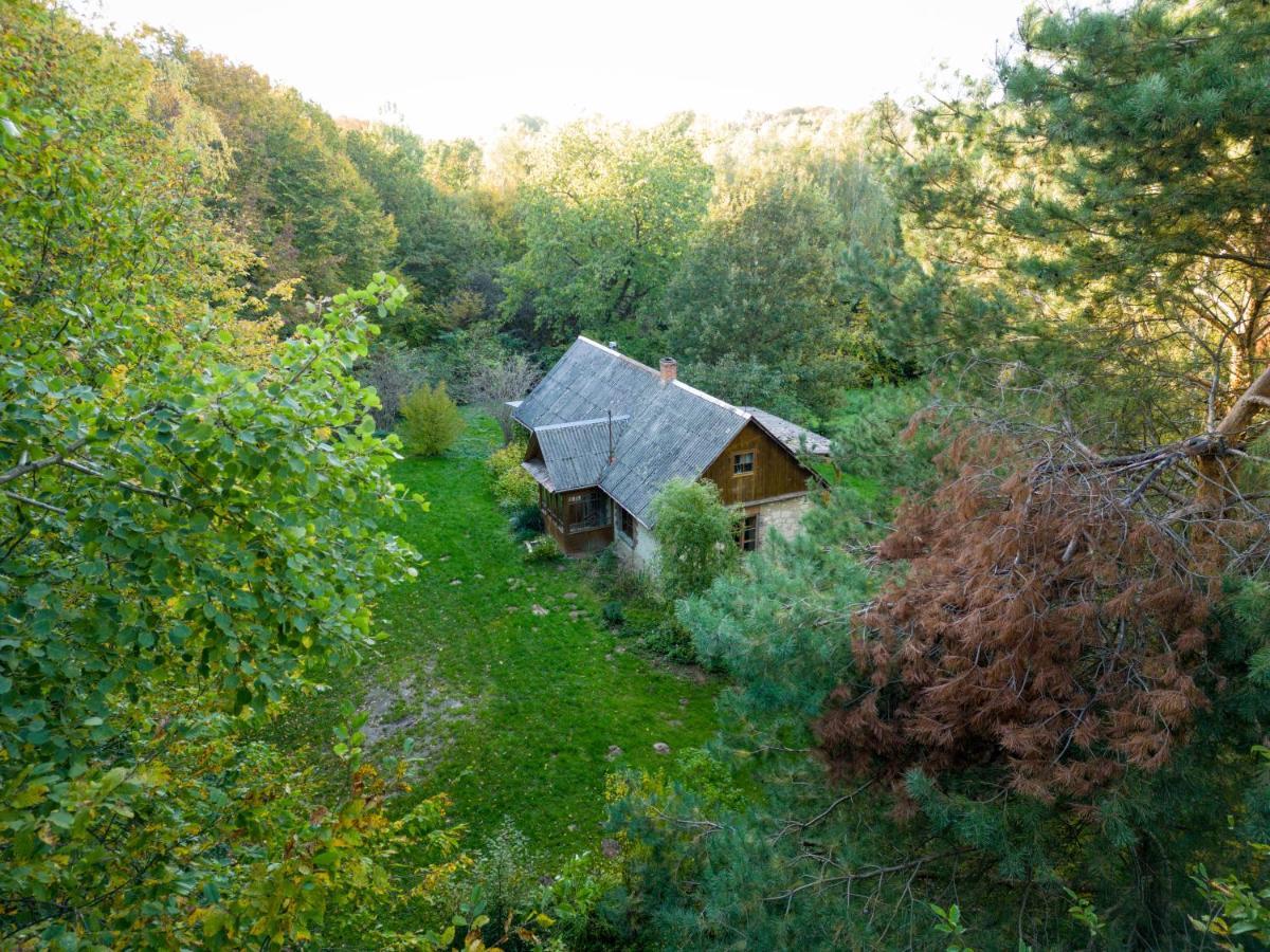 Agroturystyka Siedlisko Wydry - Dom W Srodku Lasu Wierzchoniow Bagian luar foto