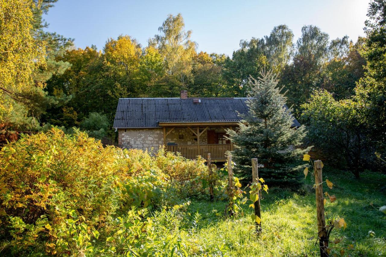 Agroturystyka Siedlisko Wydry - Dom W Srodku Lasu Wierzchoniow Bagian luar foto